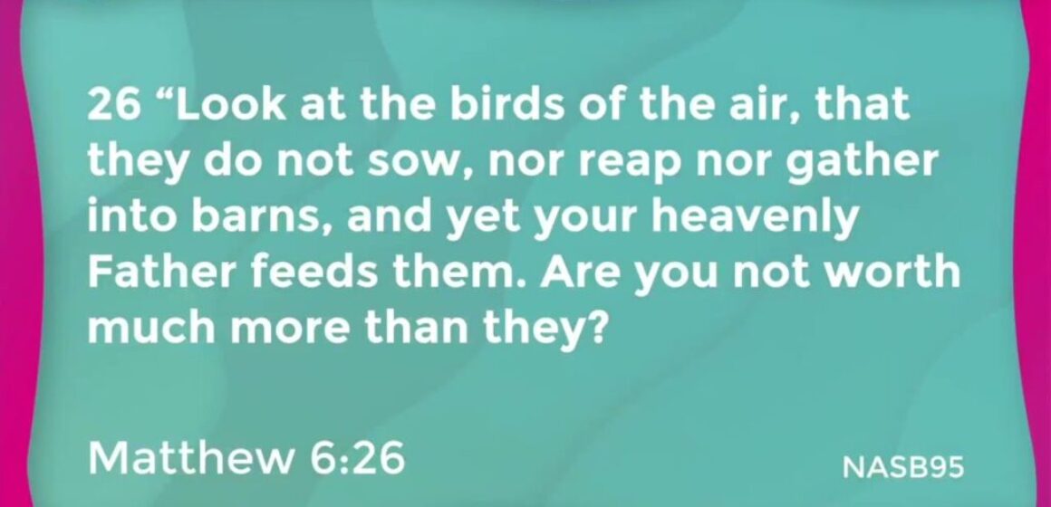 Understanding where motherly attributes come from – The Message