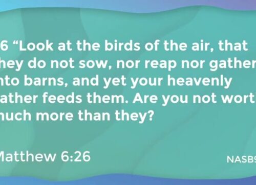 Understanding where motherly attributes come from – The Message